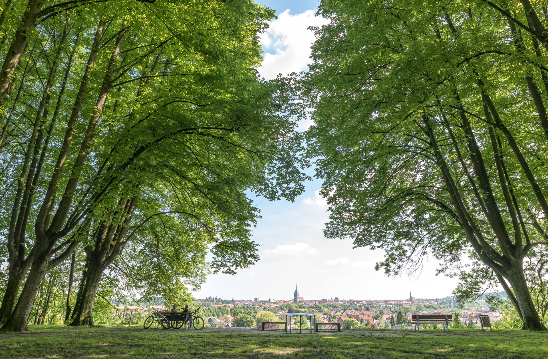Frühling-in-Hildesheim-Dirk-Bastert
